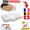 oreiller cervical, oreiller ergonomique cervical, oreiller mémoire de forme cervical, meilleur oreiller mal de cou
